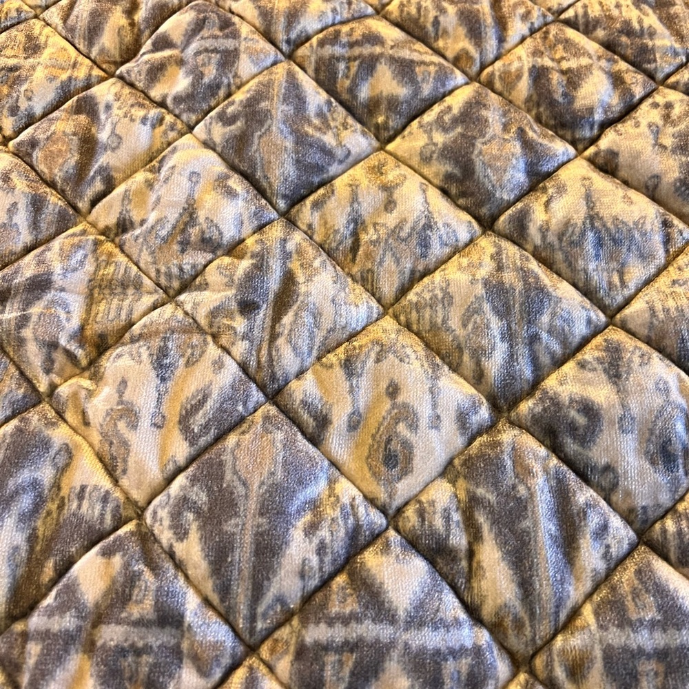 Beautiful Pottery Barn Cream, Ikat velvet king size pillow cases. EUC